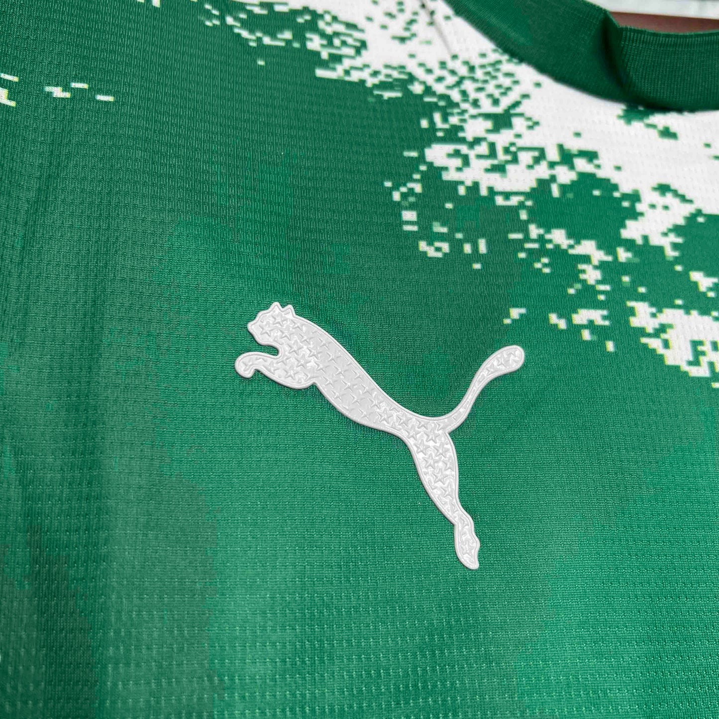 Palmeiras For a Greener Future Special Edition
