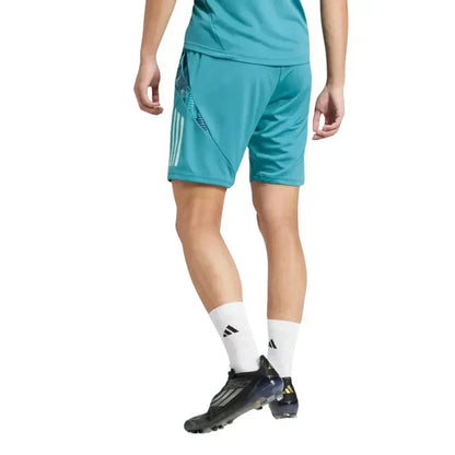 Cruzeiro 2025 Training Shorts