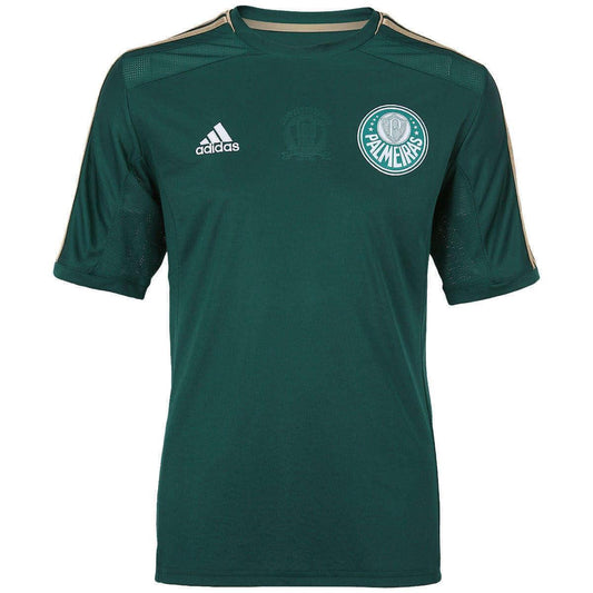 Palmeiras Home 14/15 Centenario Retro